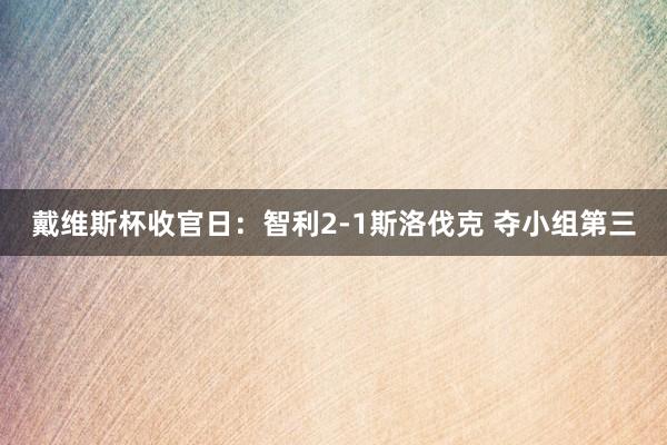 戴维斯杯收官日：智利2-1斯洛伐克 夺小组第三