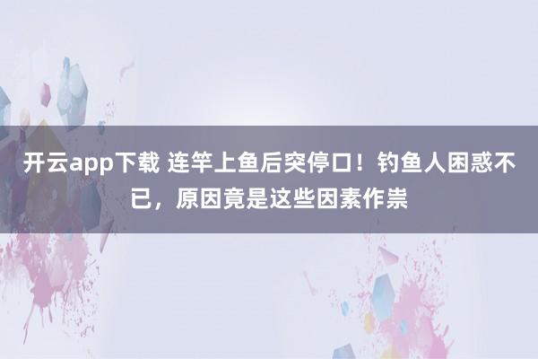 开云app下载 连竿上鱼后突停口！钓鱼人困惑不已，原因竟是这些因素作祟