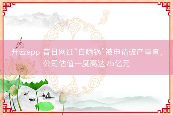 开云app 昔日网红“自嗨锅”被申请破产审查，公司估值一度高达75亿元