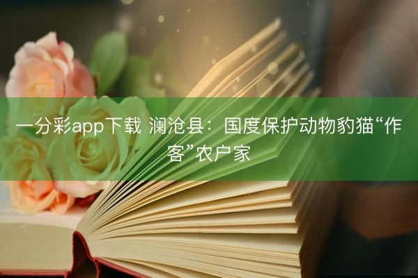 一分彩app下载 澜沧县：国度保护动物豹猫“作客”农户家